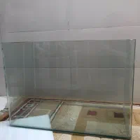 اکواریوم