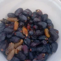 خرما درجه ۲