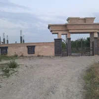 همخونه-میشم