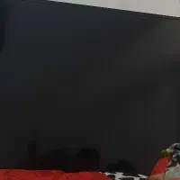 تلوزیون دوو ۴۳ اینچ