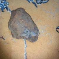 شهاب سنگ|کلکسیون اشیاء عتیقه|یاسوج, |دیوار