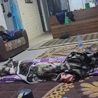 خونه اجاره ای