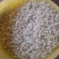 برنج چمپا