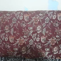 پشتیسنتیرنگزرشکیسرخ