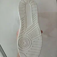 کفش نو نو|کیف، کفش، کمربند|سنقر, |دیوار