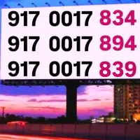 917