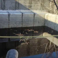 باغ توس ۹۷ معاوضه با خودرو|فروش زمین و ملک کلنگی|مشهد, صیدآباد|دیوار