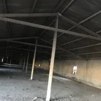 اجاره-ی-مرغداری-80000-قطعه-ای-گوشتی