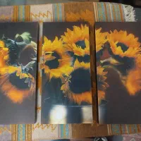 تابلو عکس سه تیکه