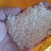 برنج هاشمی اصل