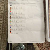 طرح بیجار خوی همراه با نمونه رنگ همراه