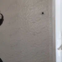 کاشی کار و سنگ کار|خدمات پیشه و مهارت|اسلامآباد غرب, |دیوار