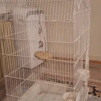 قفس|لوازم جانبی حیوانات|تهران, جوانمردان (اندیشه)|دیوار