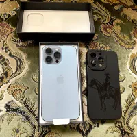 IPhone 13 pro   256