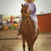 آتلیه عکاسی مراسم و فضای باز|خدمات پذیرایی، مراسم|بابلسر, |دیوار