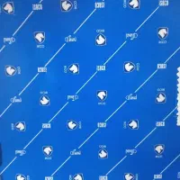 مکانیک ماهر