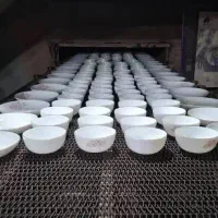 کار‌‌ برچسب زدن دخترانه