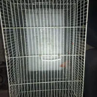 قفس پرنده بزرگ سالم ومرتب