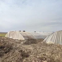 سازه گلخانه|مصالح و تجهیزات ساختمان|تربتحیدریه, شهرک ولیعصر|دیوار