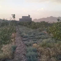 نیازمند زمین