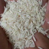 برنج ایرانی درجه یک مستقیم از کارخانه|فعالیت داوطلبانه|بابل, |دیوار