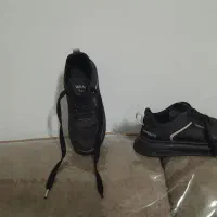 کفش|کیف، کفش، کمربند|شیراز, پودنک|دیوار