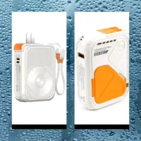 پاوربانگ ریمکس وهیسکا 10000(انباکس شده)(بخونید)