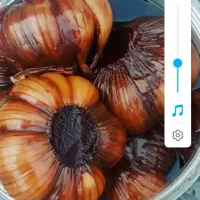 خیارشور ترشیجات زیتون|خوردنی و آشامیدنی|مشهد, حجت|دیوار