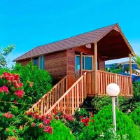 نجاری  ساخت خانه چوبی و آلاچیق