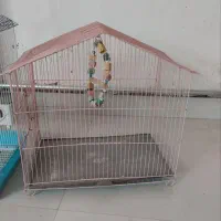 قفس|لوازم جانبی حیوانات|مشگین شهر, |دیوار