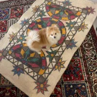 پشم خالص زیر انداز|گلیم، جاجیم، گبه|کرج, گوهردشت|دیوار