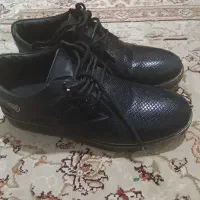 کفش مجلسی
