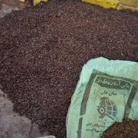 کشمش افتابی کاشمر .سبز. مویز. دودی|عمدهفروشی|کاشمر, |دیوار