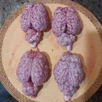 قصابی و ذبح گوسفند و گوساله( قصاب سیار )|خدمات پذیرایی، مراسم|اردبیل, |دیوار