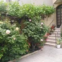 اجاره آپارتمان ۸۵ متری ۱ خوابه طبقه ۳ در سهروردی