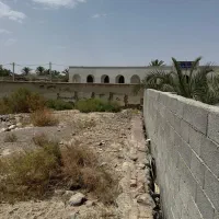 زمین-فروشی-سیب-سوران