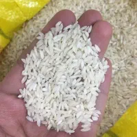 برنج  چمپا میداوود