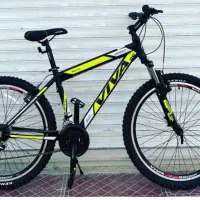 چابـک سـوار %