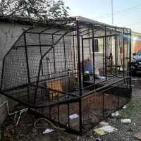 اتاق عقب نیسان و پادرا