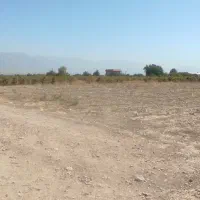 سلام زمین درشهرستان کوار جاده محموداباد|فروش زمین و ملک کلنگی|طسوج, |دیوار