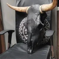 دیوارکوب جمجمه گاو