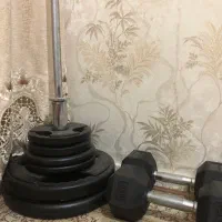دنبل و هالتر