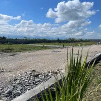 زمین رو از مالک اصلی بخر