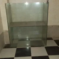 آکواریوم برای ماهی شب عید