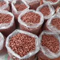 آجیل خشکبار