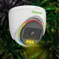 دوربین مداربسته|دوربین مداربسته|مبارکه, |دیوار