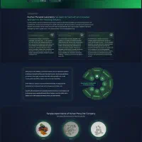 طراحی سایت حرفه ای