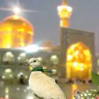 تور زیارتی مشهد