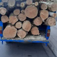 خرید چوب باغی شما با بالاترین قیمت همراه با هرس ک|خدمات باغبانی و درختکاری|گلبهار, |دیوار