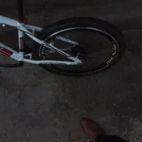 دوچرخه مارکcolnago|دوچرخه، اسکیت، اسکوتر|فارسان, |دیوار